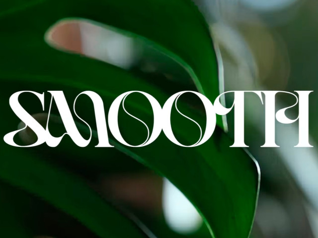 Pic Schmitz Long Set live at Smooth Sunset